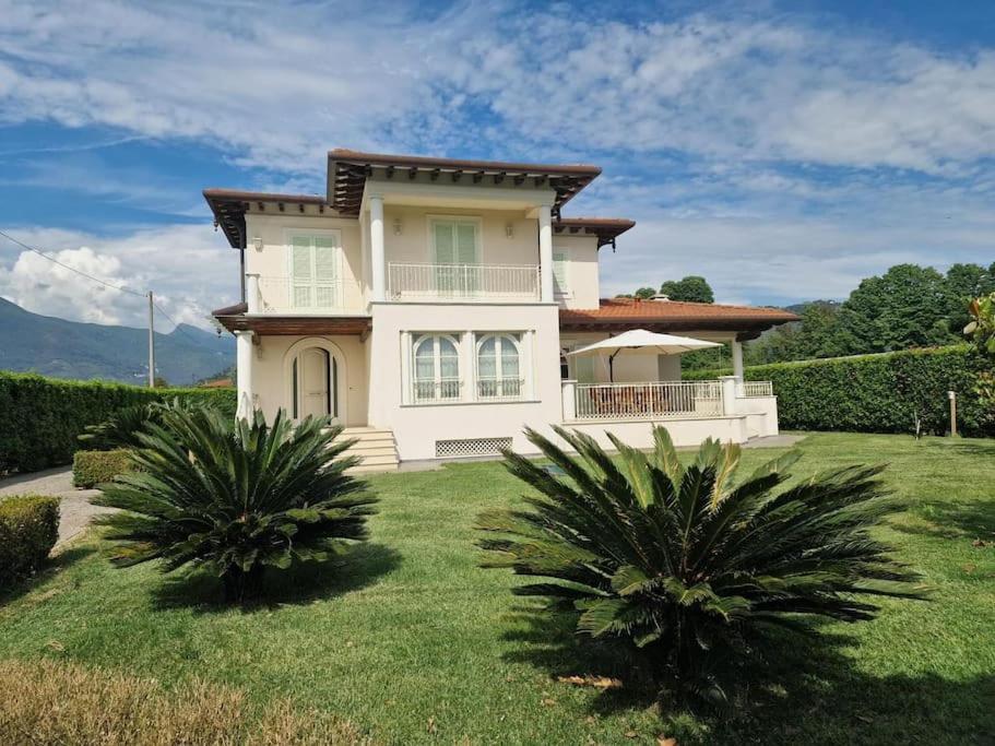 Villa Oriella - Piscina Idromassaggio E Relax -Versilia 카마이오레 외부 사진